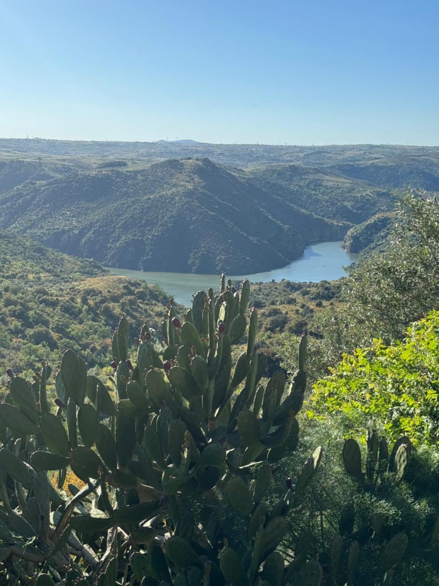 La Casita De Los Arribes Fermoselle Exteriör bild