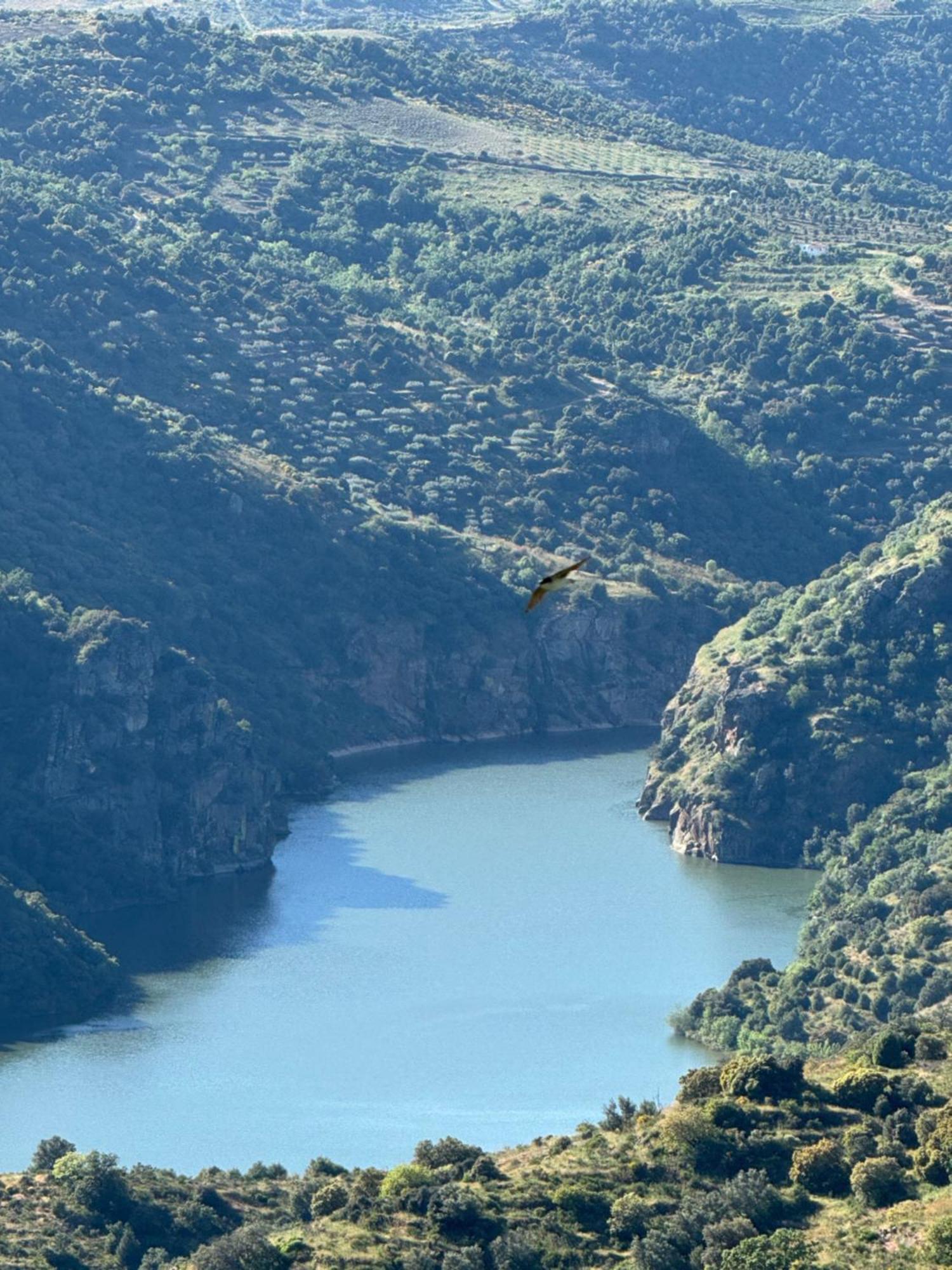 La Casita De Los Arribes Fermoselle Exteriör bild