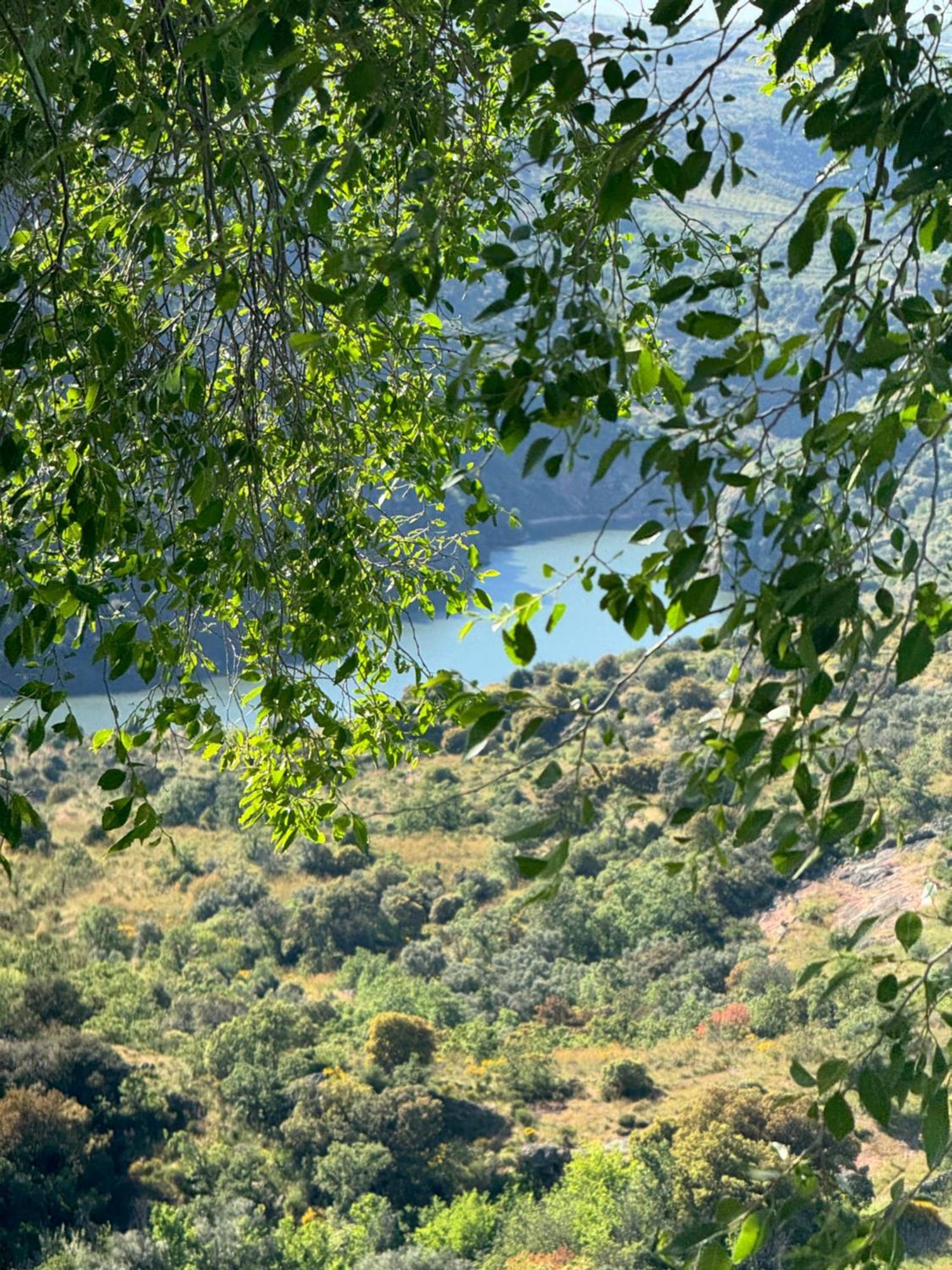 La Casita De Los Arribes Fermoselle Exteriör bild